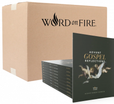 Advent Gospel Reflections 2026 - Box of 20